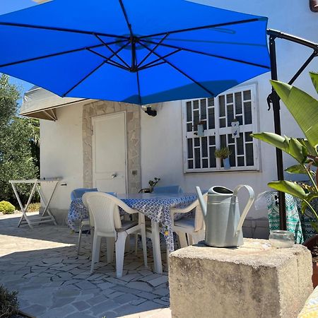 B&B Villa Mediterranee Con Parking Space Trani Eksteriør billede