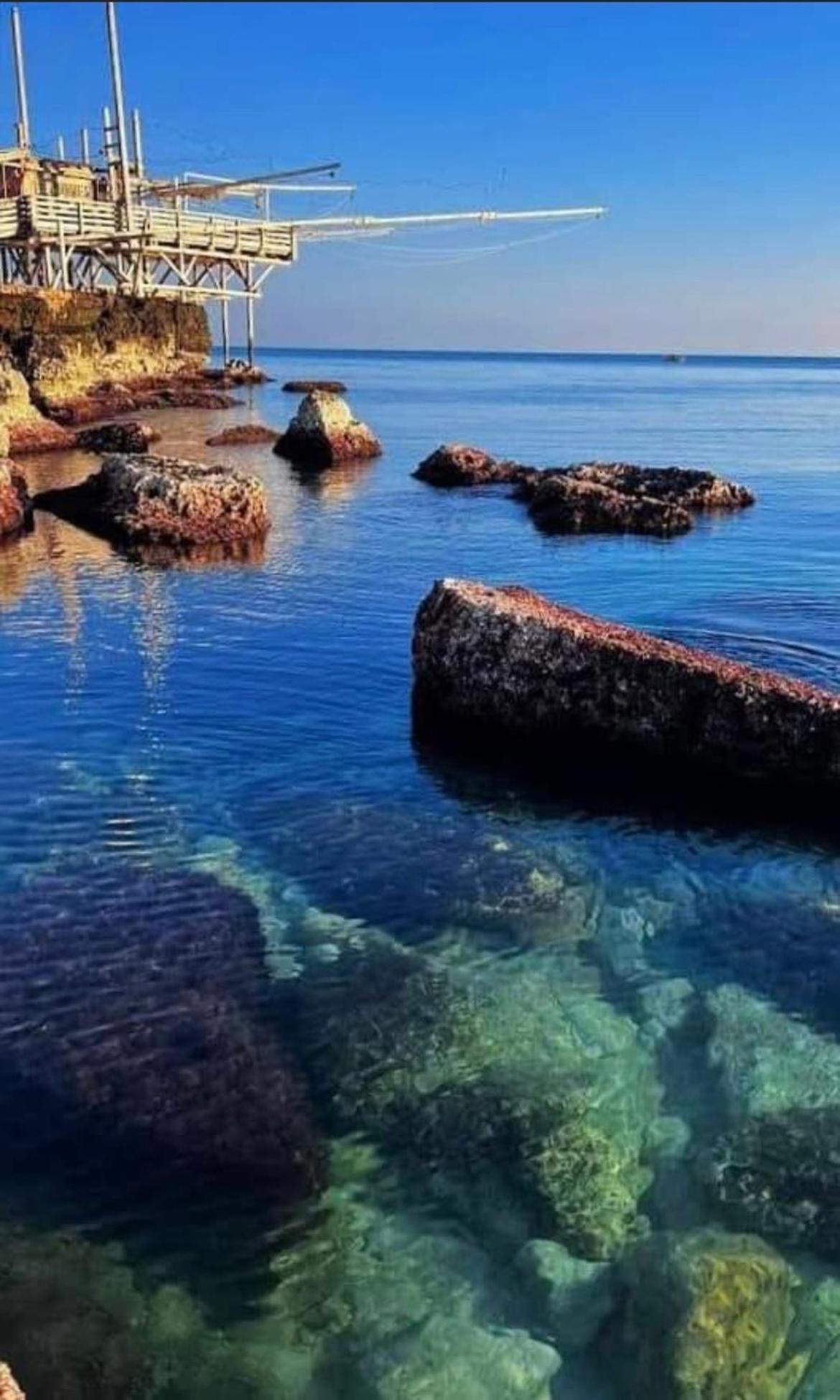 B&B Villa Mediterranee Con Parking Space Trani Eksteriør billede